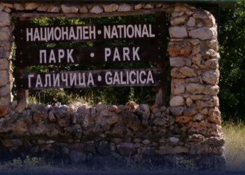Појот на птиците на Галичица