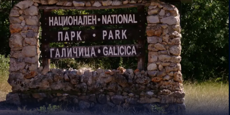 Појот на птиците на Галичица