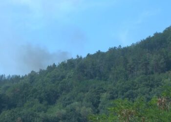 Пожарот во охридско ставен под контрола