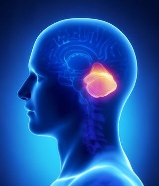Во „БИОМЕД ЛАБ“ се врши детекција на гените одговорни за појава на Dandy-Walker syndrome