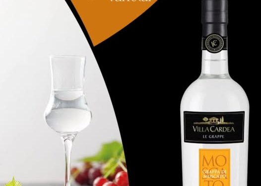 Во Alpojo Liquor Store – Охрид – италијанска Грапа – ракија од грозје